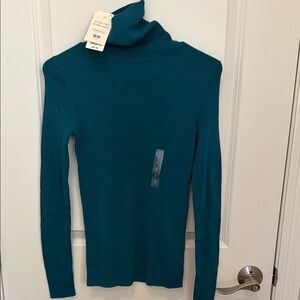 Uniqlo Teal extra fine merino wool Sweater